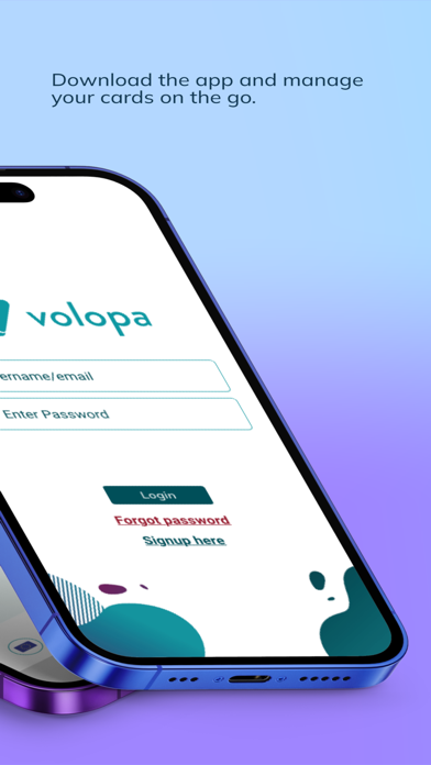 Volopa Business Screenshot