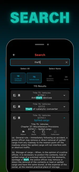 PA CJR 2025 Lite screenshot 2