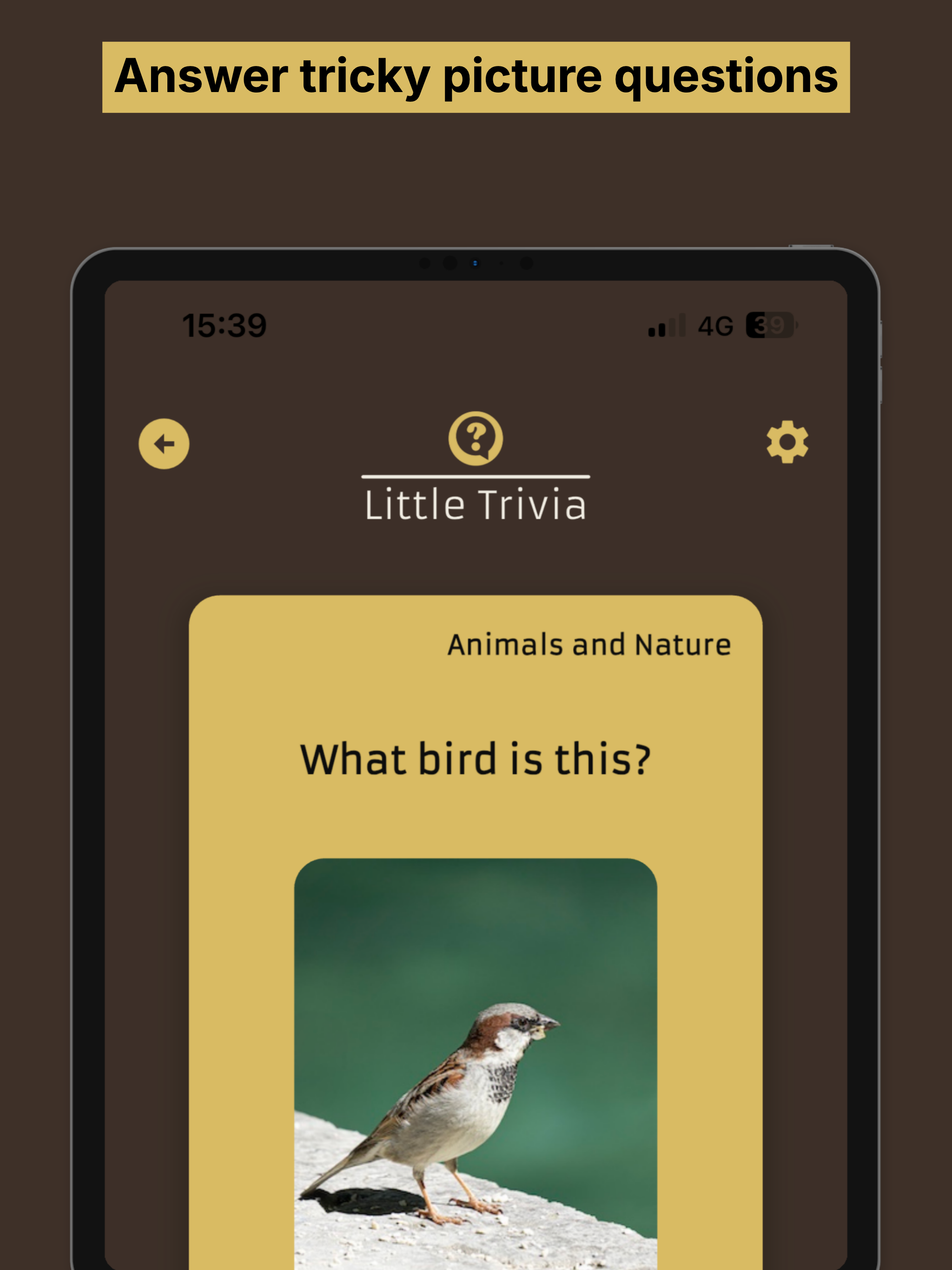 Little Trivia screenshot 14