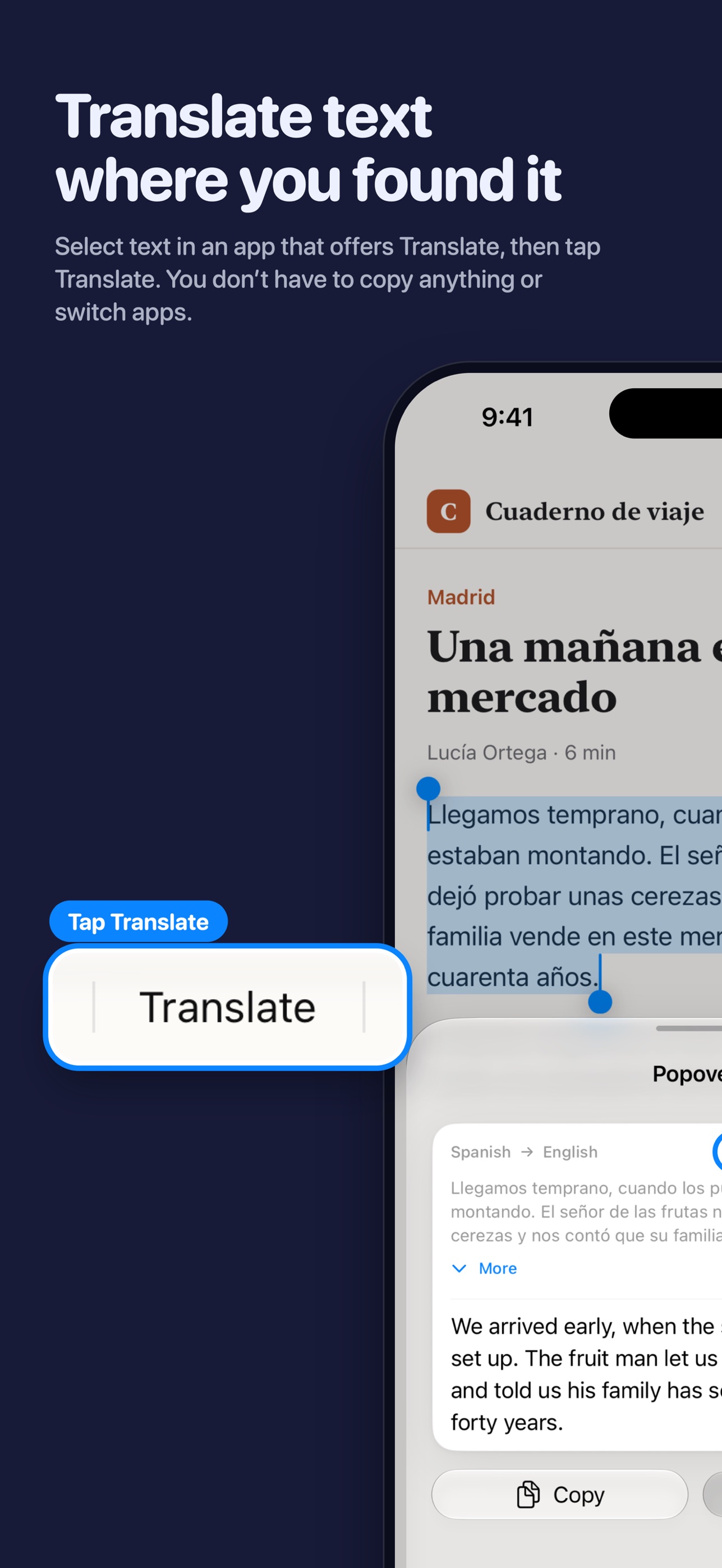 Screenshot 1 of Popover – AI Translate