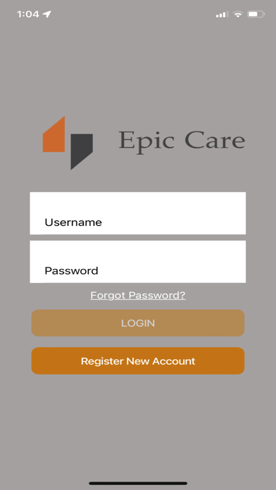 Epic Care Screenshot