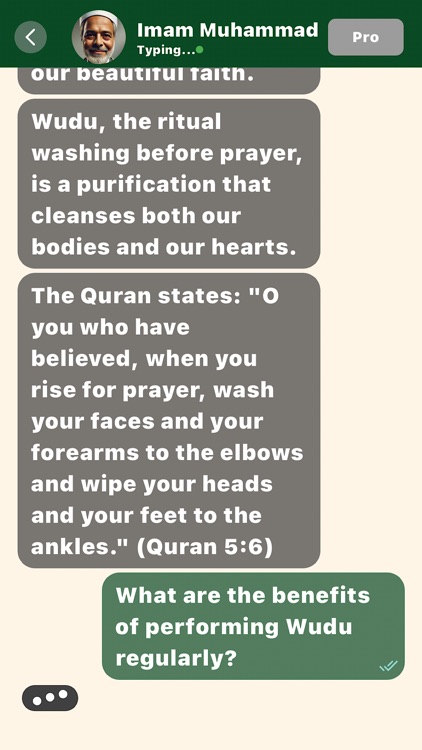 Quran Chat App screenshot-3