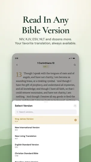 Bible Chat: Daily Devotional iPhone-skjermbilde 9