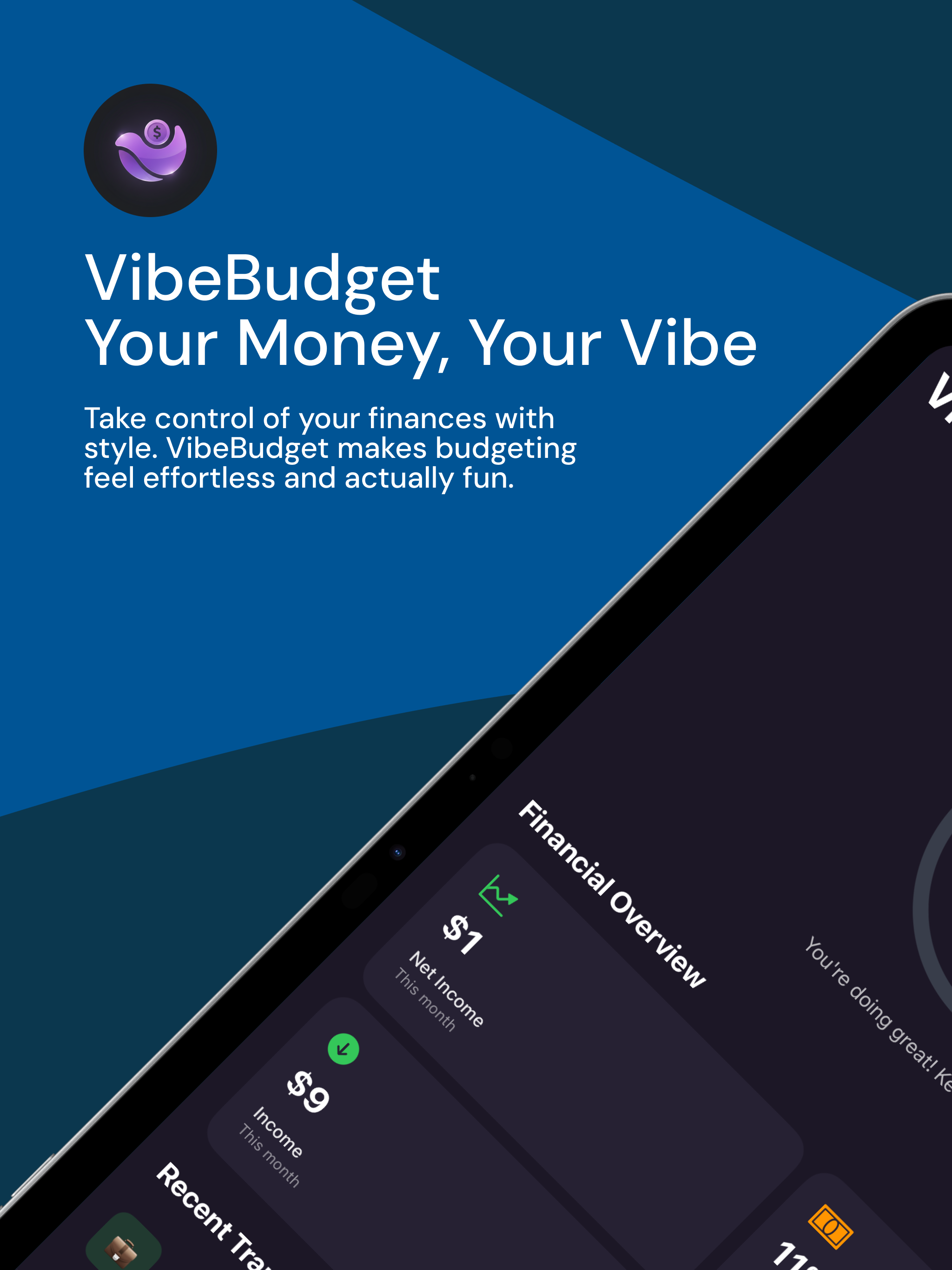 VibeBudget screenshot 11