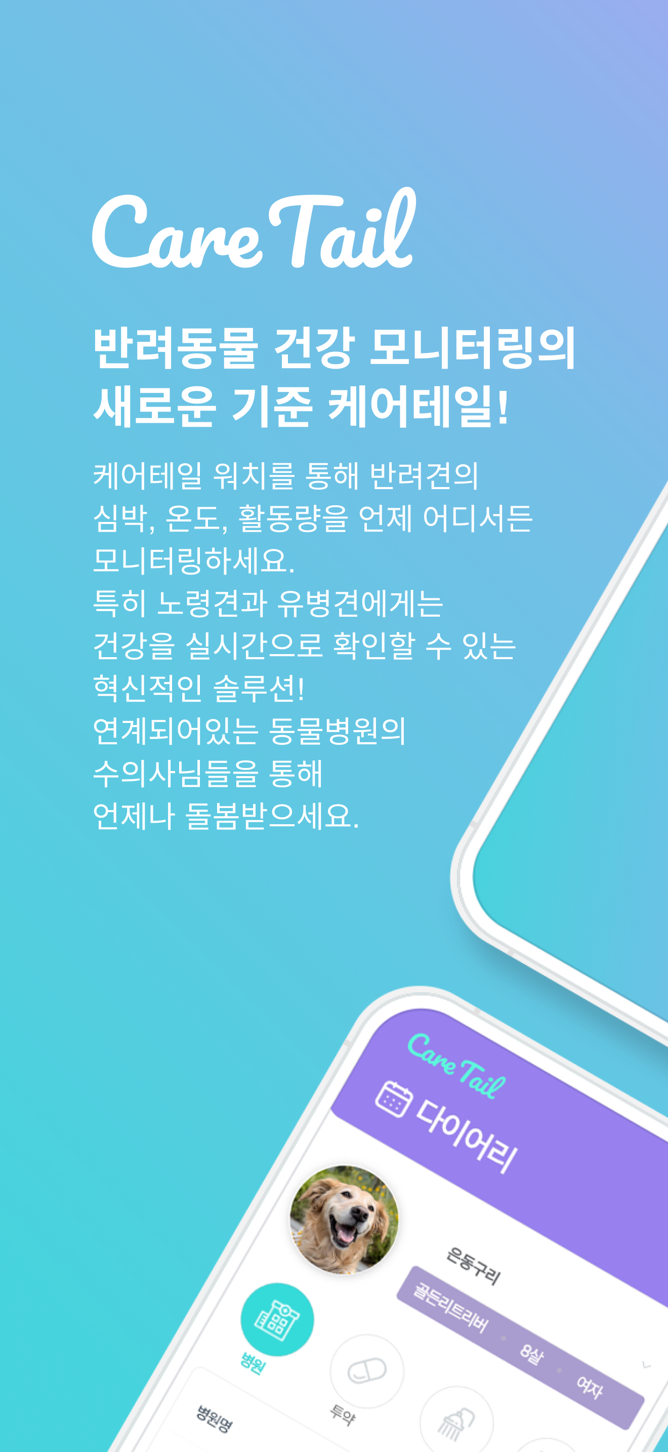 케어테일