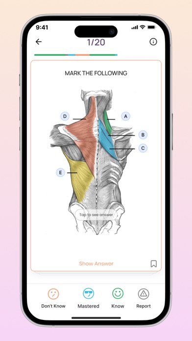 Neuroflip NEET PG flashcards Screenshot