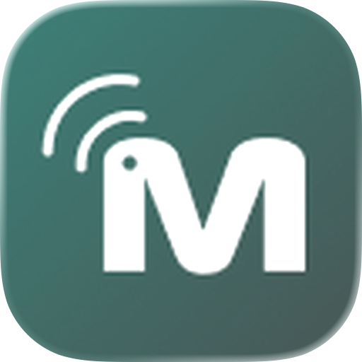 Merkury Smart