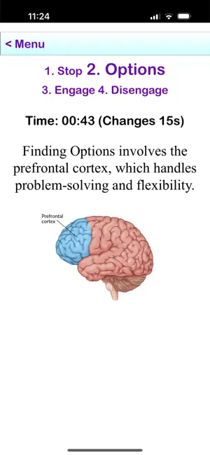 Flow Meditation iPhone App