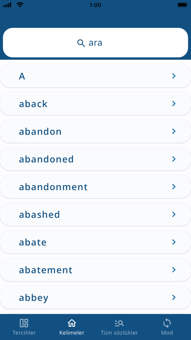 Turkish English Dictionary - Screenshot