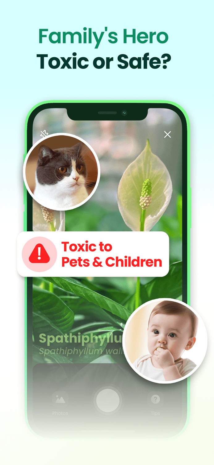 Plant Easy Plants  Garden