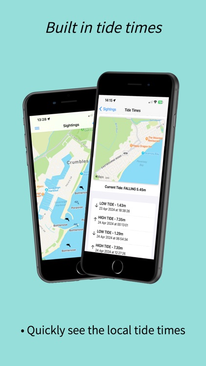 Dolphin Spotter screenshot-4
