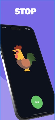Knock Rooster screenshot