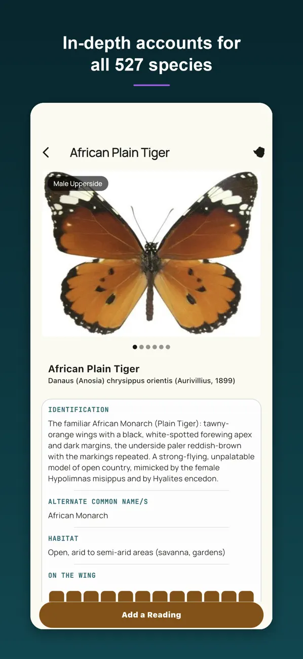 Screenshot #3 pour Butterflies of Zimbabwe