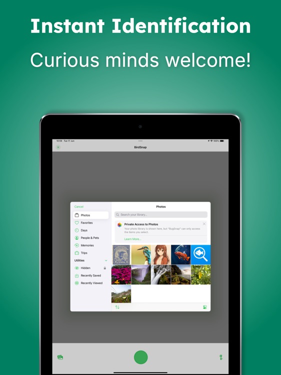 BugSnap: Bug Identifier AI