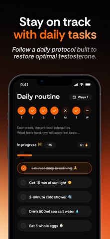 Ritual: Testo reset in 90 days screenshot