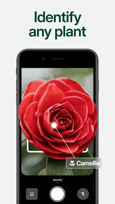 Planto: Plant Identifier Screenshot