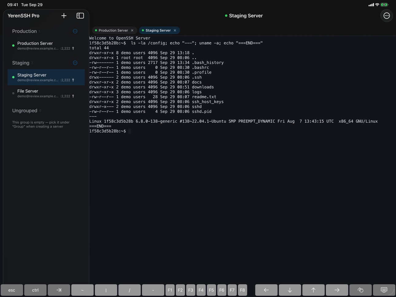 Screenshot 9 of YerenSSH Pro