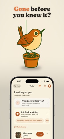 Wrenly: Bird Identifier iPhone screenshot