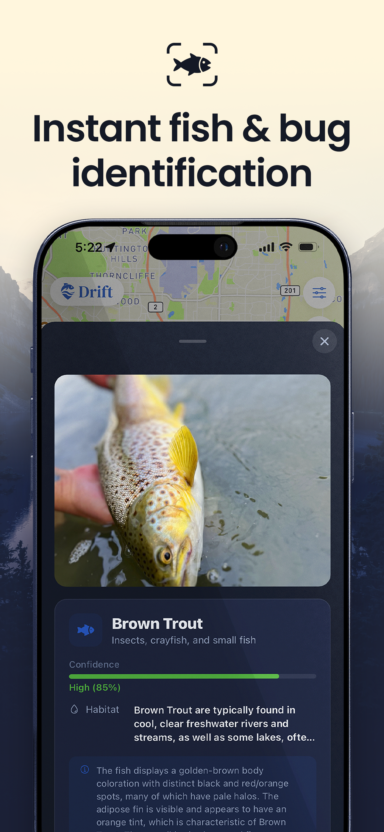 Drift: Fish, Map & Explore
