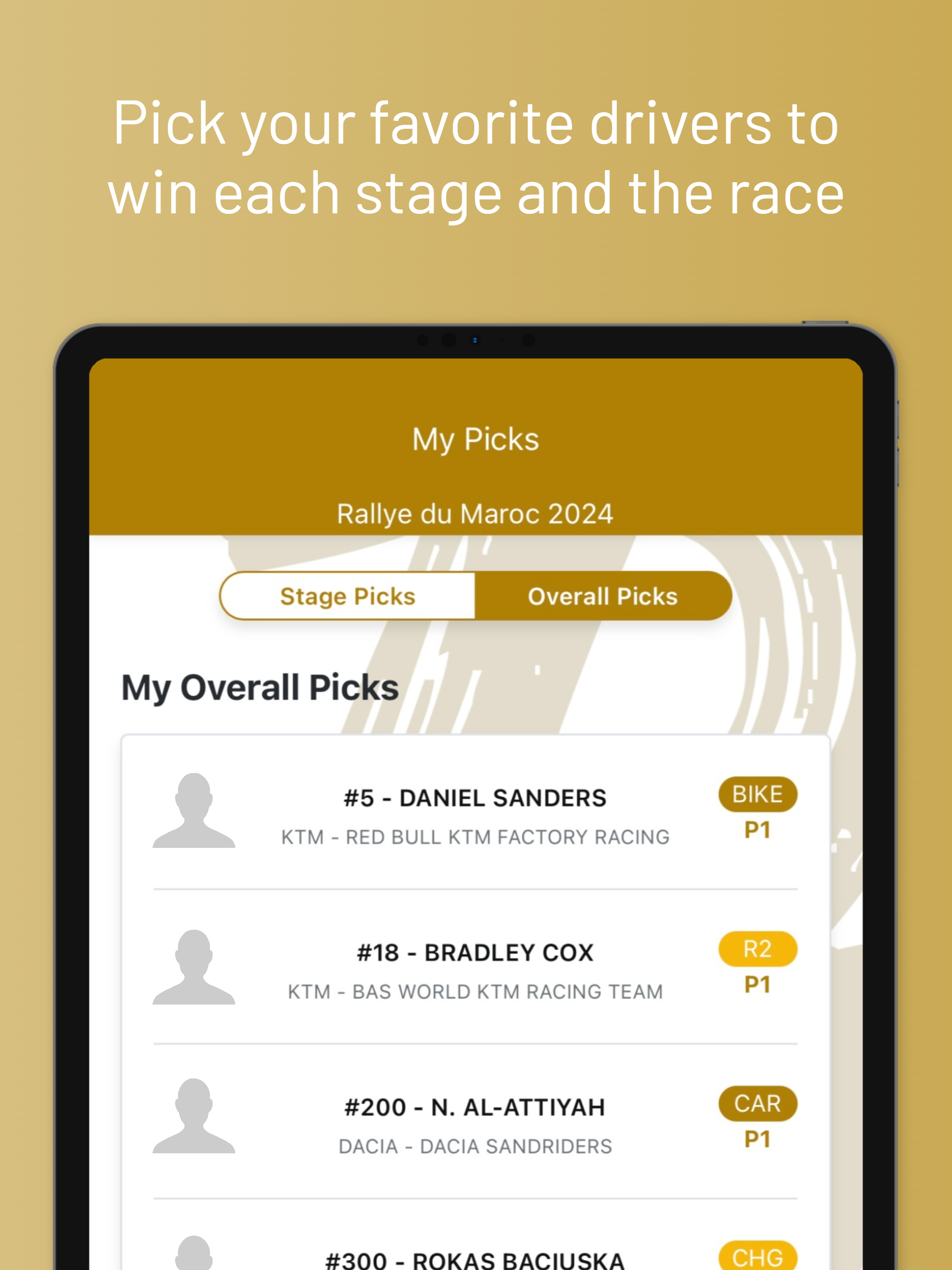 Dakar League screenshot 10