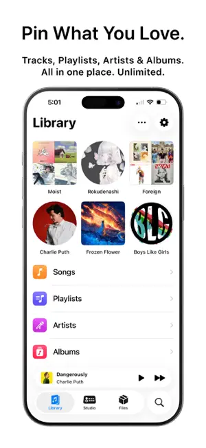 Tuneo: Offline Music Player screenshot 2