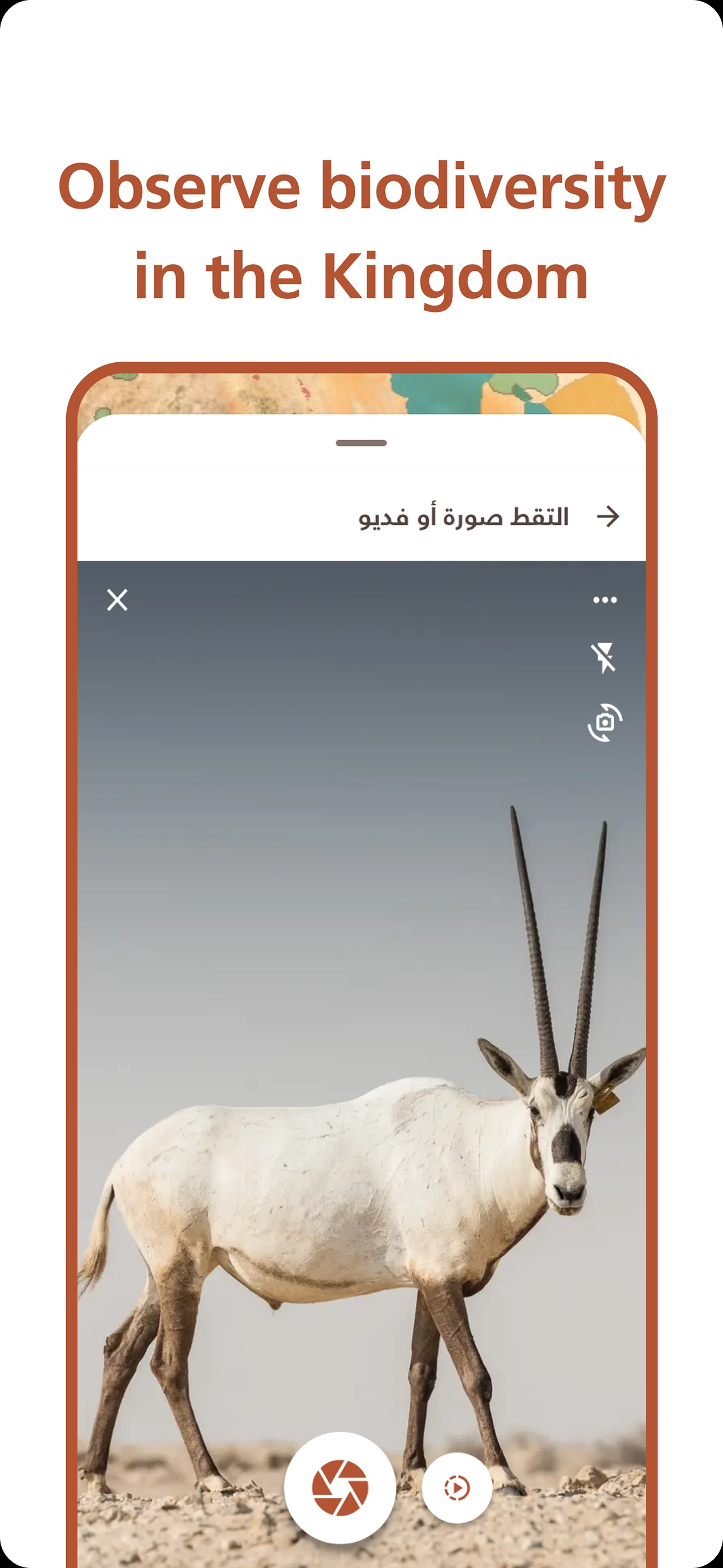 Wildlife Rasid  الراصد الفطري