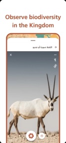 Wildlife Rasid  الراصد الفطري screenshot