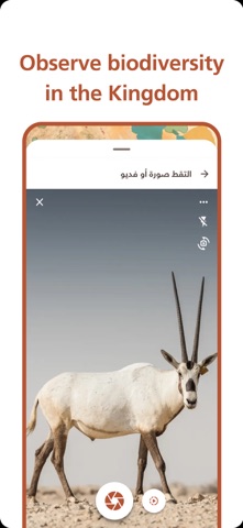 Wildlife Rasid  الراصد الفطري iPhone screenshot