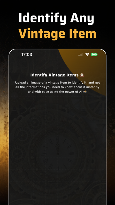 Vintage ID: Identifier & Value Screenshot