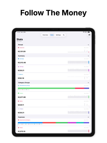 CashTrace: Checkbook Ledger ipad screenshot 4