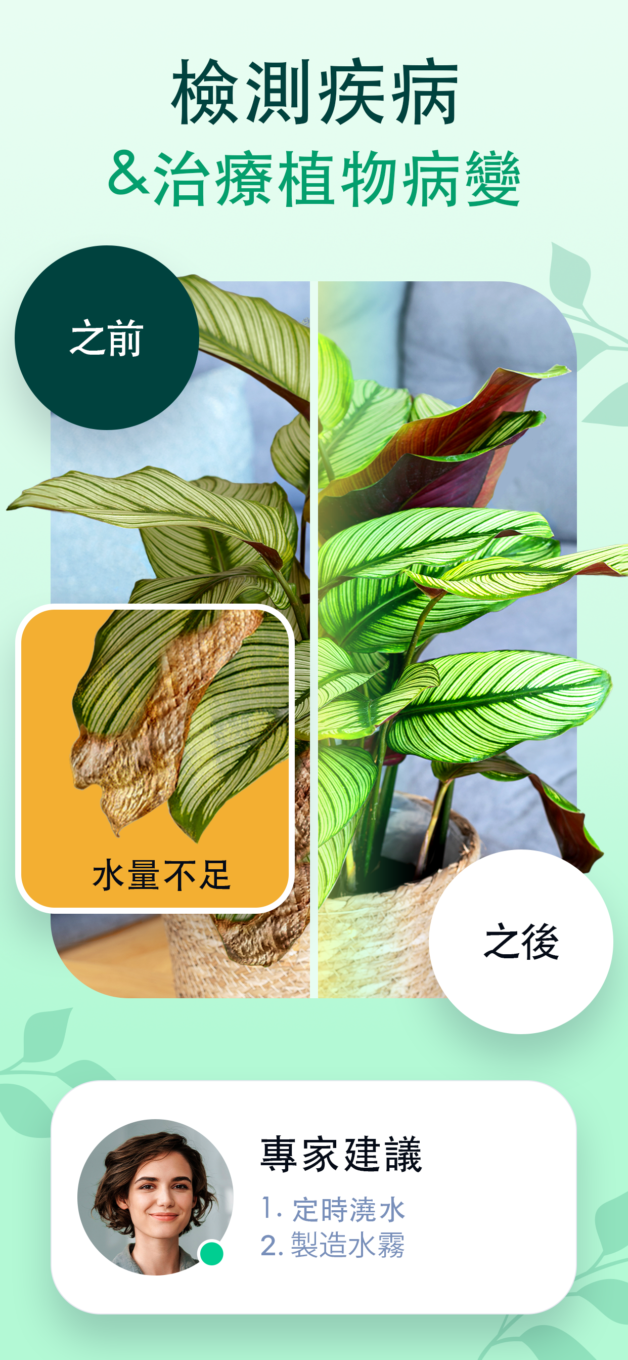 Plant Guru - 植物識別養護指南
