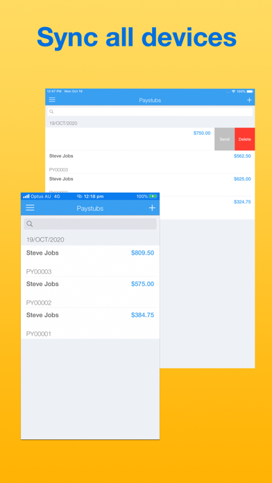 Paystub Maker Screenshot