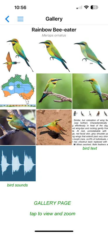 Pizzey and Knight Birds of Aus screenshot 6 of 10
