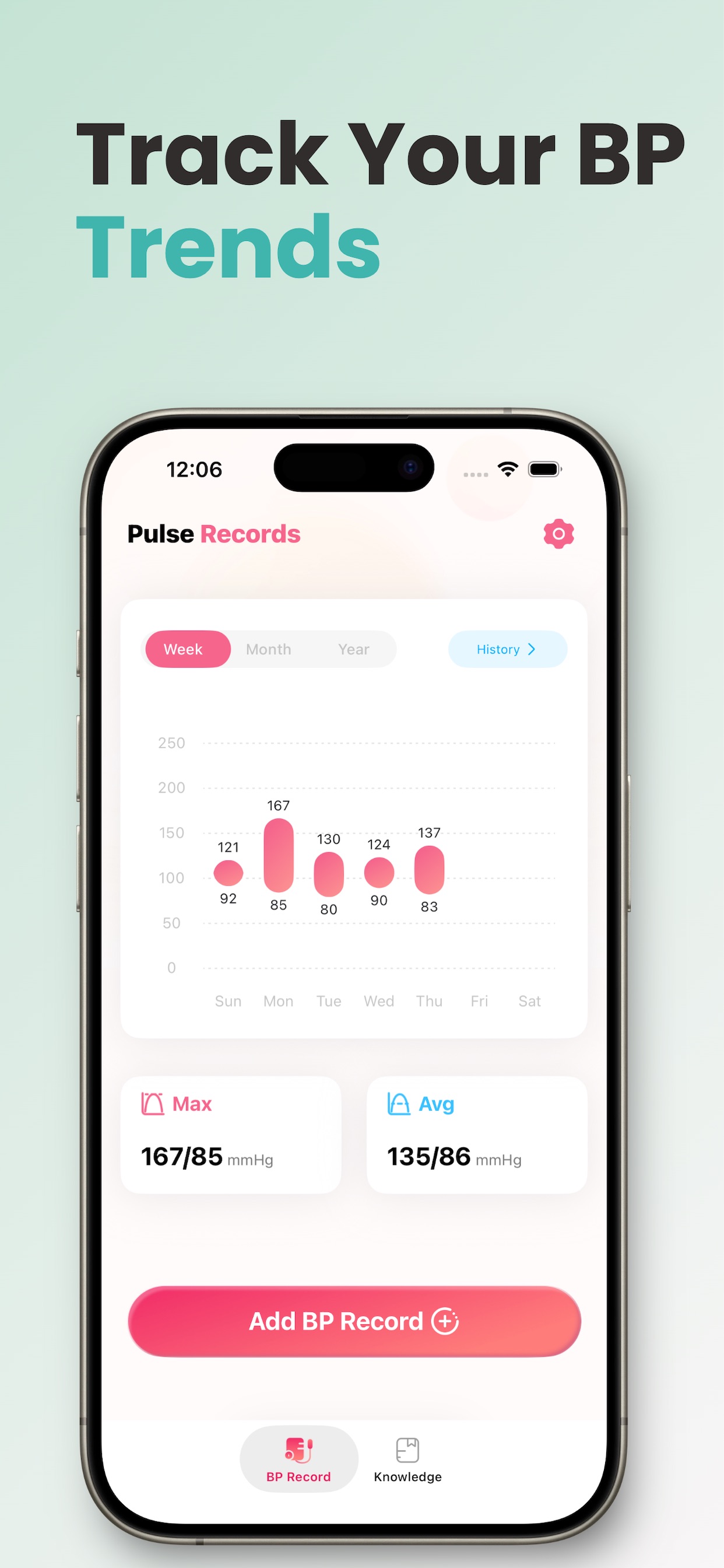 Screenshot 2 of Health Logbook: BP Records