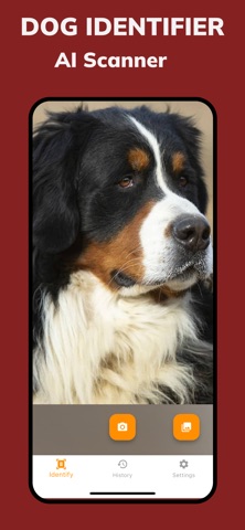 Dog Identifier—Breed Scanner Screenshot 1 of 4