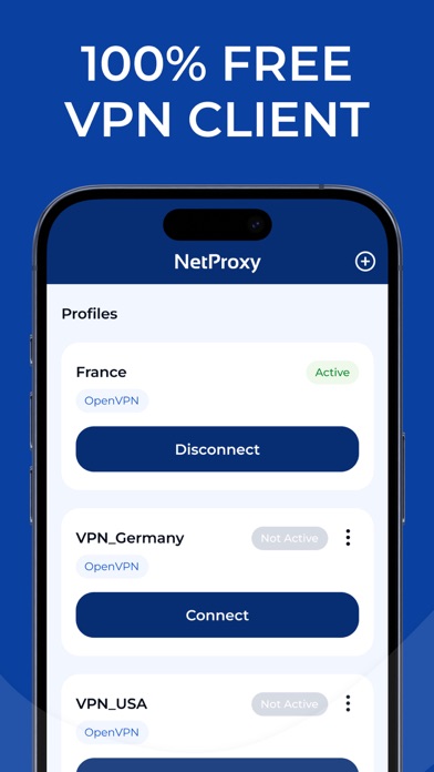 VPN Client - NetProxy Screenshot