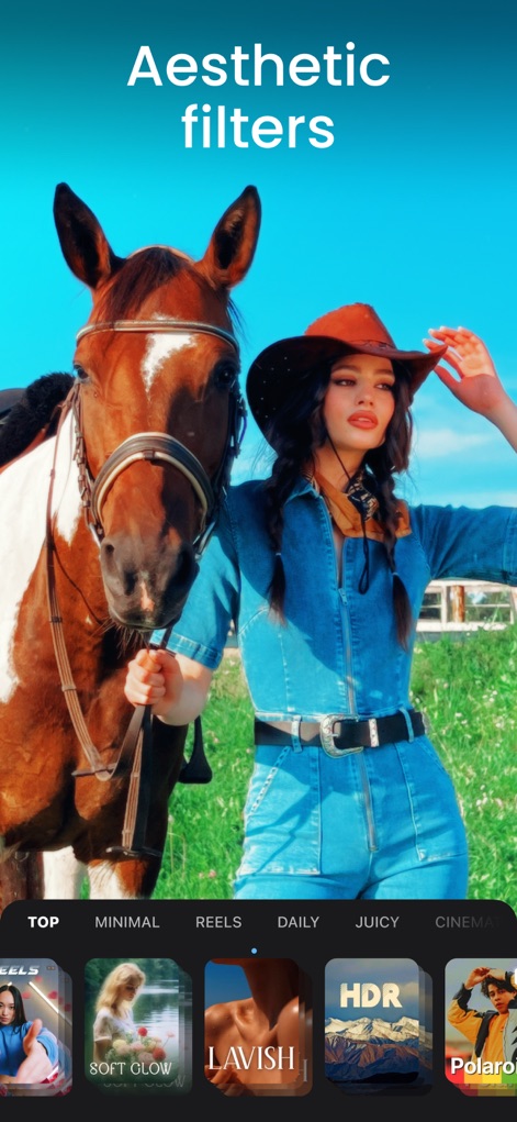 Video Maker & Editor: Dizzi AI - Discover a wide range of aesthetic filters, categorized for quick selection like "TOP" and offering stylish options such as "LAVISH" to perfect video visuals.