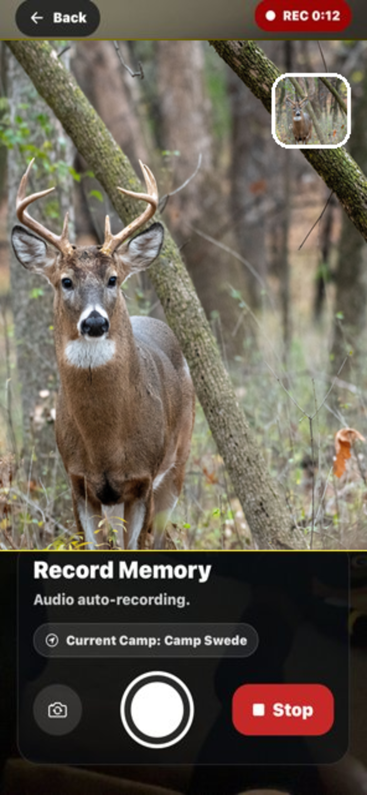 DeerCamp screenshot 3