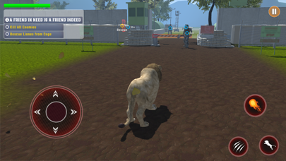 Wild Lion Simulator Lion Games Screenshot
