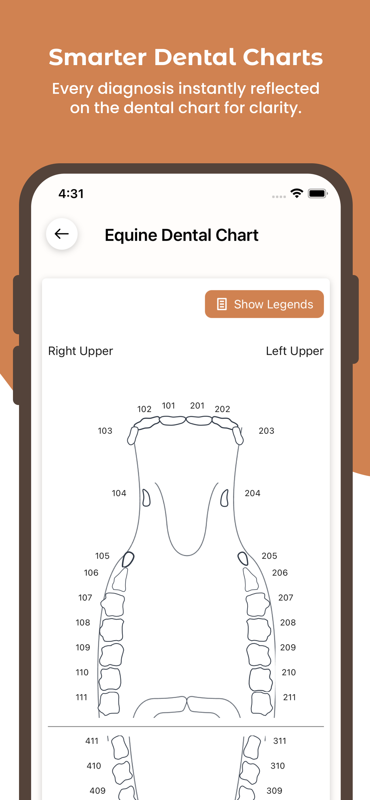 Acorn.vet screenshot 8