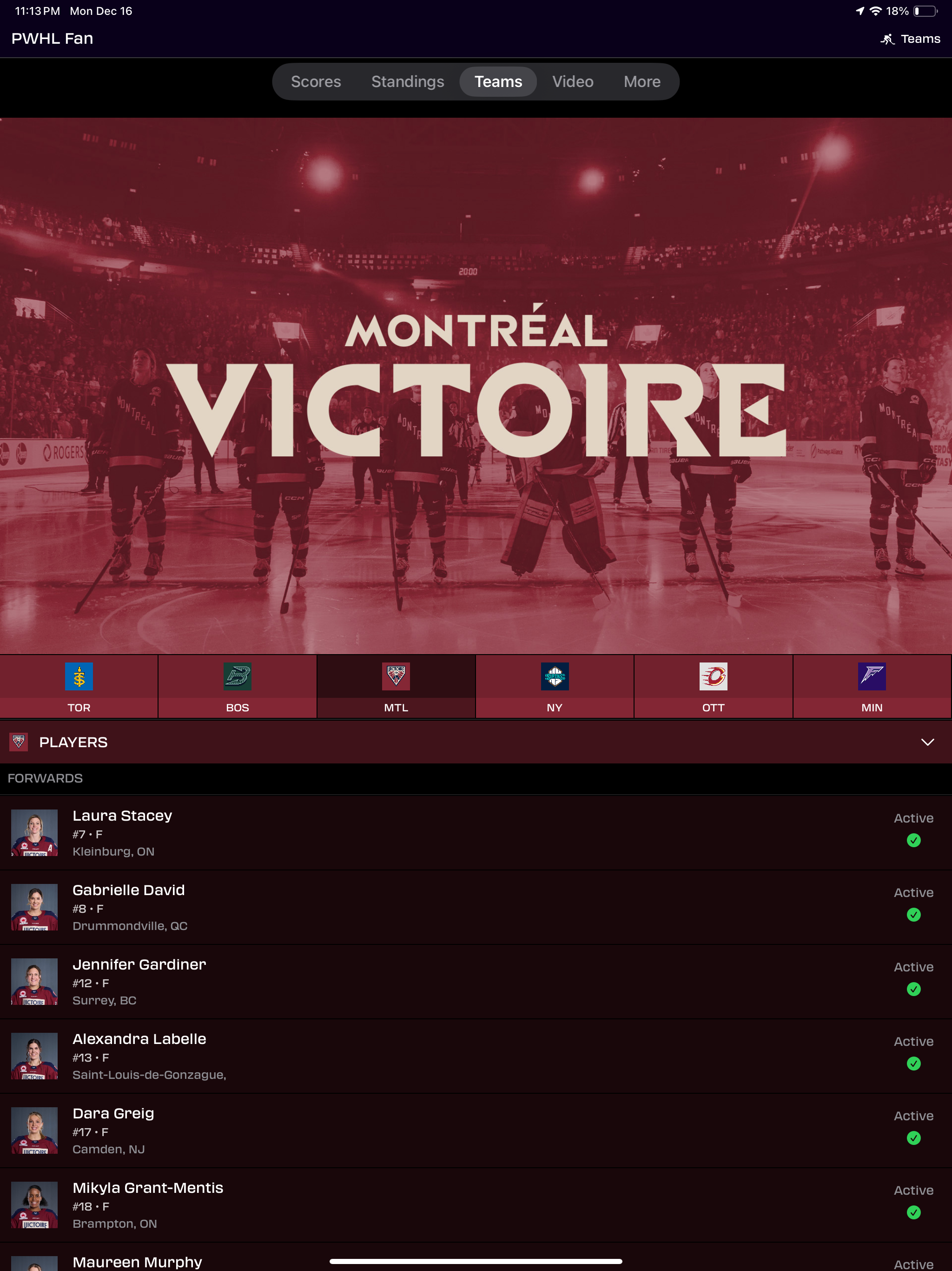 PWHL Fan screenshot 13