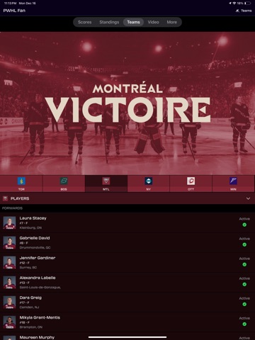 PWHL Screenshot 3
