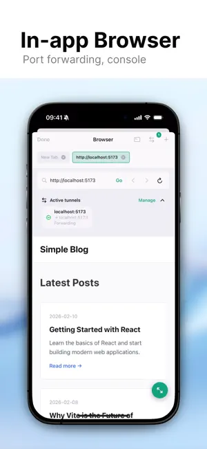 Labide - Remote Dev Studio screenshot 3