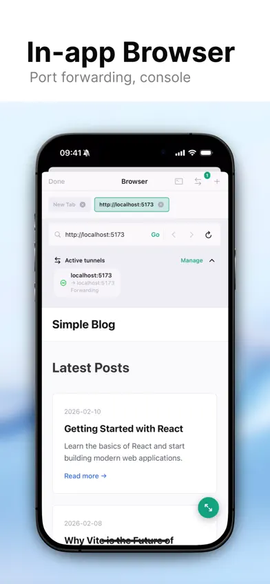 Labide - Remote Dev Studio screenshot 3