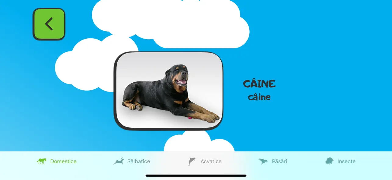 Screenshot #3 pour ABC pour les enfants (RO)