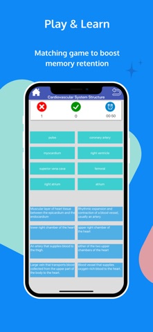 Circulatory System Flashcards iPhone screenshot
