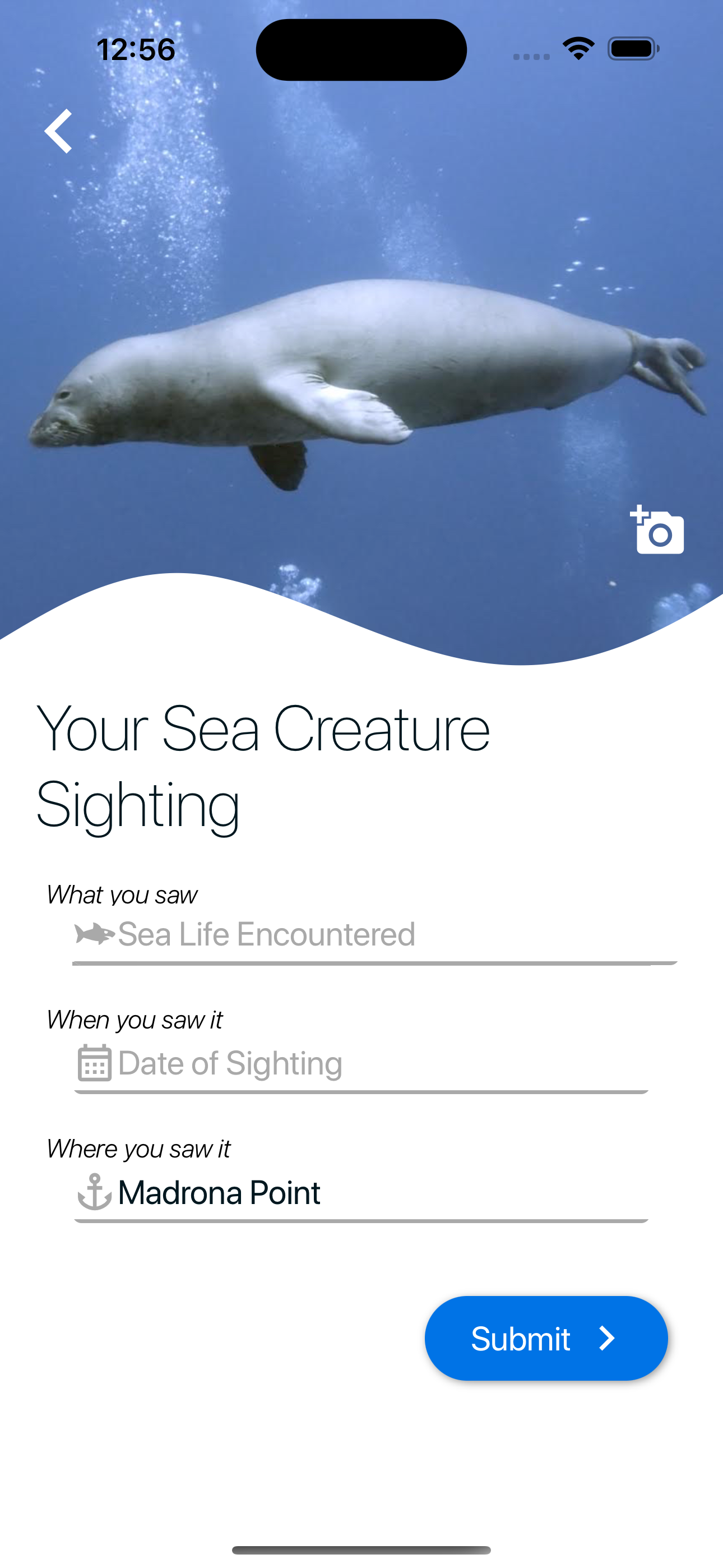 Scuba SEAsons