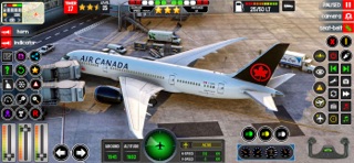 Airplane Game Flight Attendent screenshot