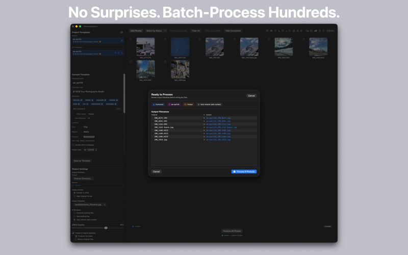 PhotoMetaPro — Batch Metadata iPhone screenshot