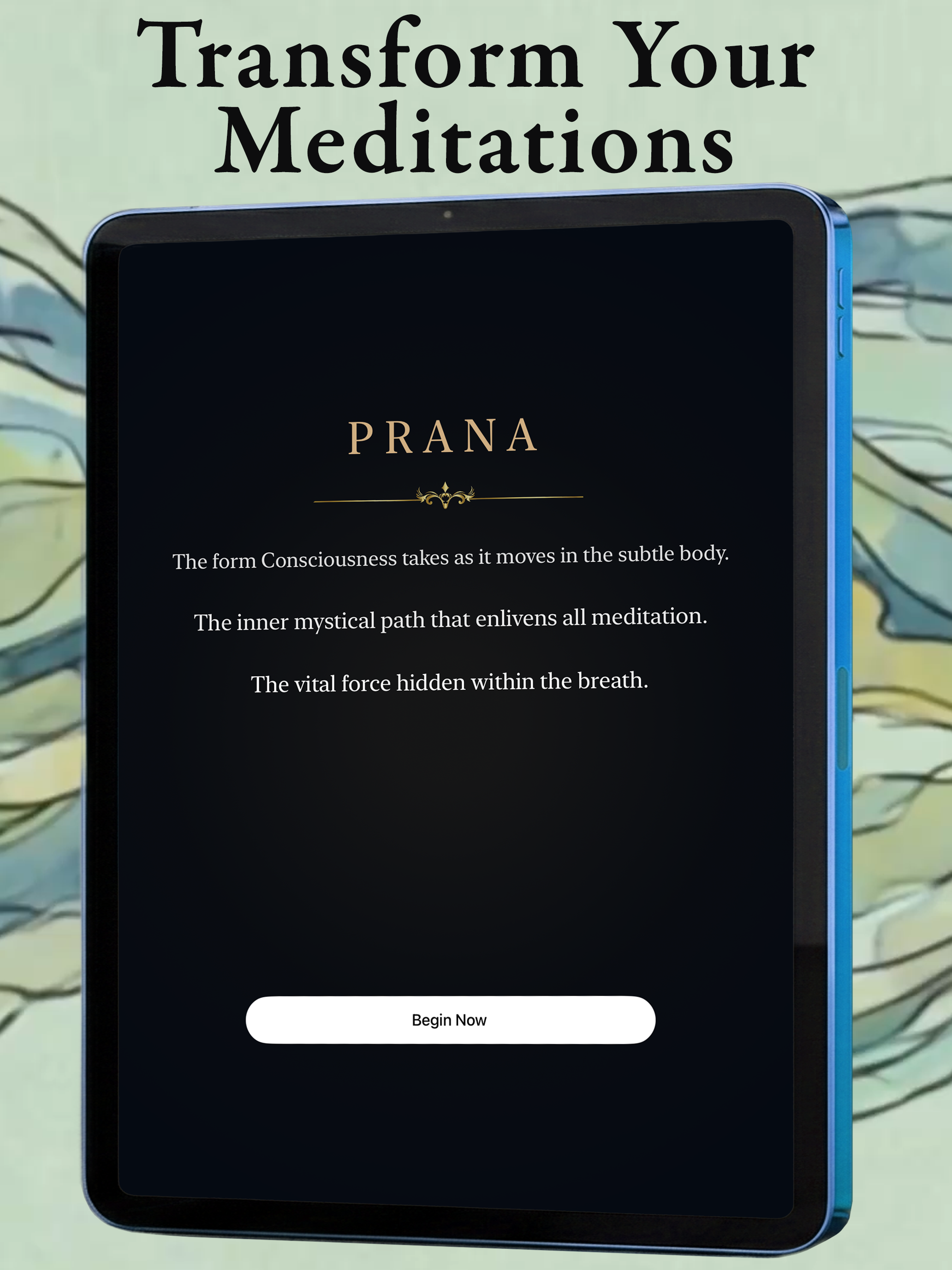 Stop The Mind:Discover Prana